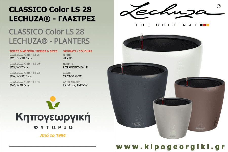 CLASSICO Color LS 28 LECHUZA Αυτοποτιζόμενες Γλάστρες & Κασπώ